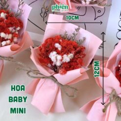Hoa Baby Làm Phụ Kiện Hộp Quà Siêu Xinh, Hoa Tulip, Hoa Hướng Dương, Hoa Baby Mini Làm Quà Tặng Bạn Gái