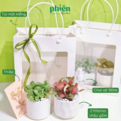 Gift Set Cây Xanh Tặng Dịp, Bình Xịt Hàn Quốc Kèm Túi Mặt Kiếng Siêu Xinh - Sweet Box