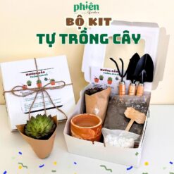 Bộ Kit Tự Trồng Cây Sen Đá  Làm Quà Tặng Dễ Chăm Tại Nhà Bộ Dụng Cụ Tự Trồng Cây
