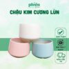 Chậu gốm kim cương , Chậu gốm tráng men Bát Tràng