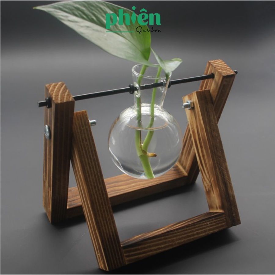 Kệ gỗ lọ thuỷ tinh bóng đèn, chậu xích đu 1,2,3 lọ trang trí vintage, Bình Trồng Cây Thủy Sinh